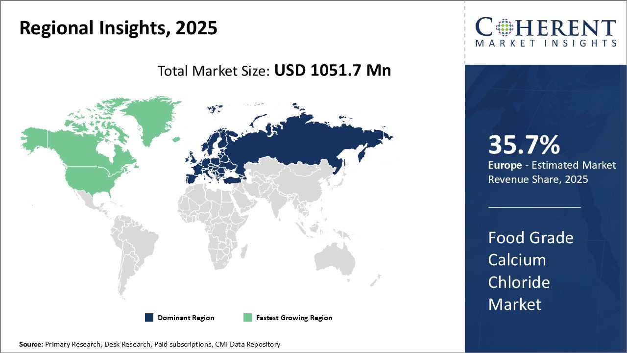 Food Grade Calcium Chloride Market - IMG1