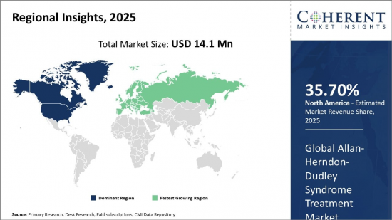 Global Allan-Herndon-Dudley Syndrome Treatment Market - IMG1