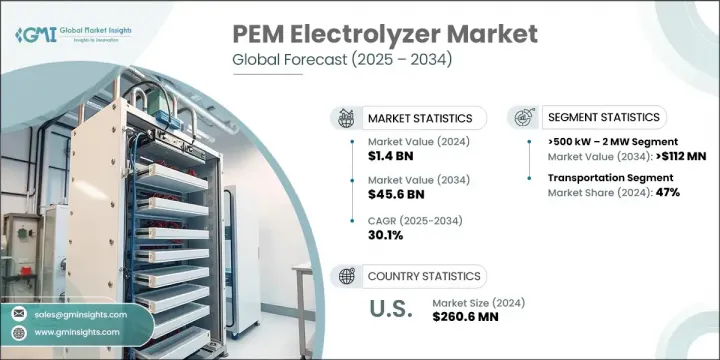 PEM 電解器市場 - IMG1