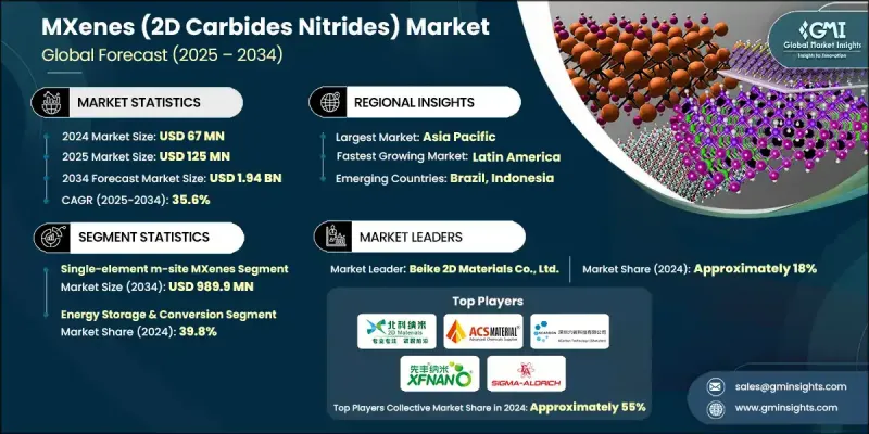 MXene(2D碳化物氮化物)市場 - IMG1
