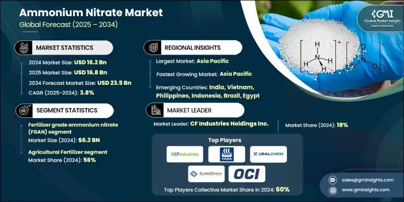 硝酸銨市場 - IMG1