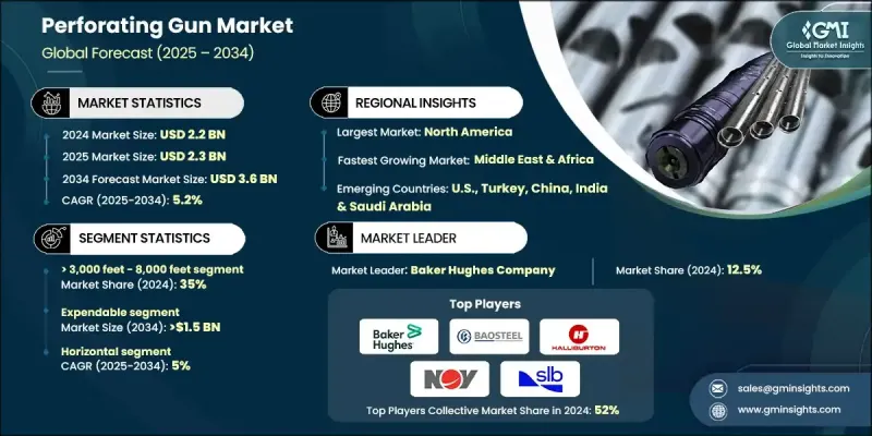 穿孔槍市場 - IMG1