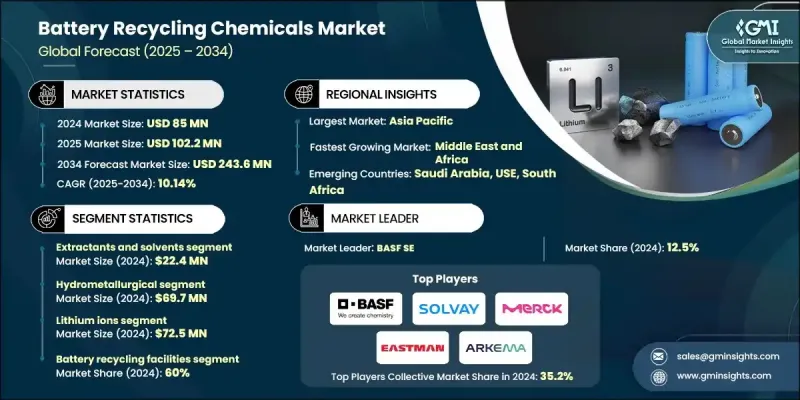 電池回收化學品市場 - IMG1