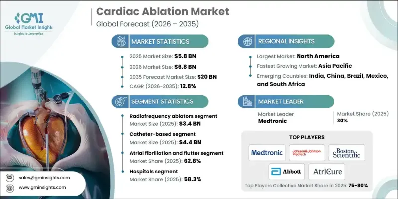 心臟消融市場 - IMG1