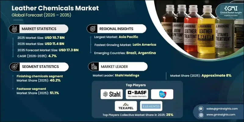 皮革化學品市場-IMG1