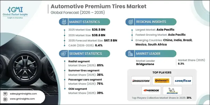 Automotive Premium Tires Market - IMG1