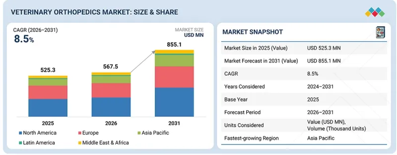 獸醫骨科市場-IMG1