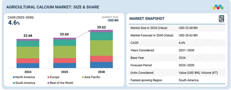 農業鈣市場-IMG1