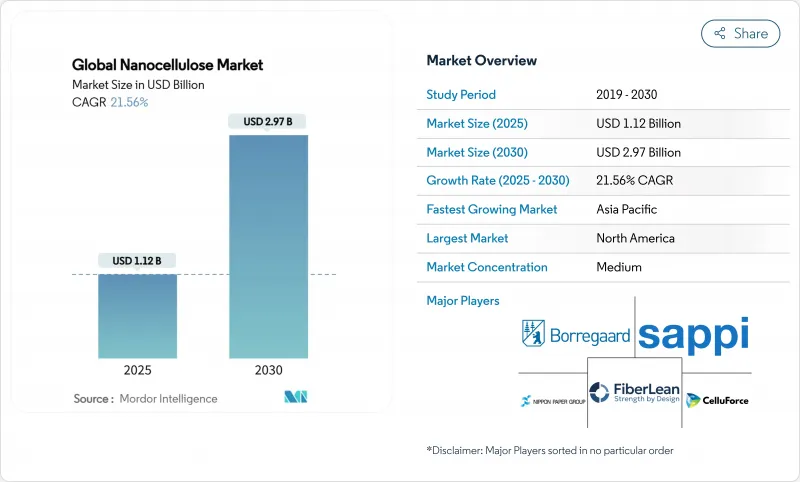 全球奈米纖維素市場-IMG1