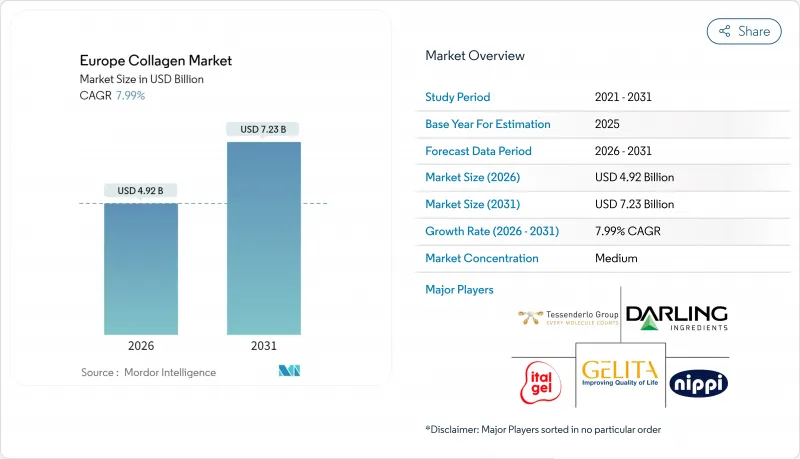 歐洲膠原蛋白市場-IMG1