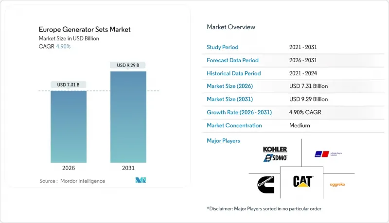 歐洲發電機組市場-IMG1