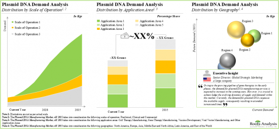 Plasmid DNA Manufacturing Market-IMG2