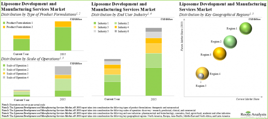 Liposome Development and Liposome Manufacturing Services Market-IMG2