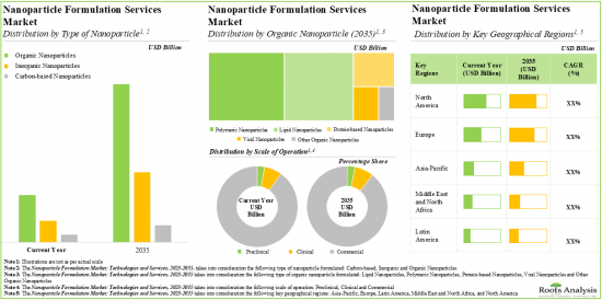 Nanoparticle Formulation Market-IMG2
