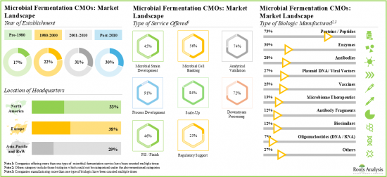 Microbial Fermentation CMO Market-IMG1