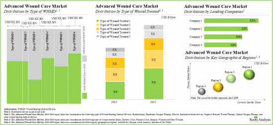 Advanced Wound Care Market-IMG3