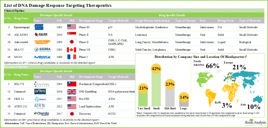 DNA Damage Response Market - IMG1