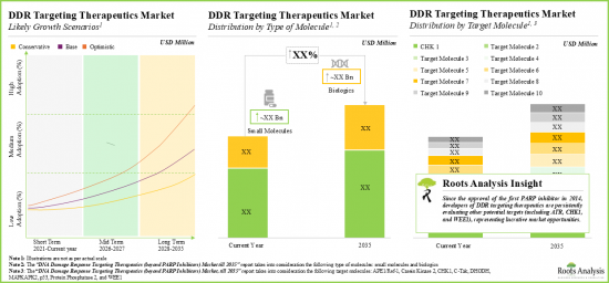 DNA Damage Response Market - IMG3