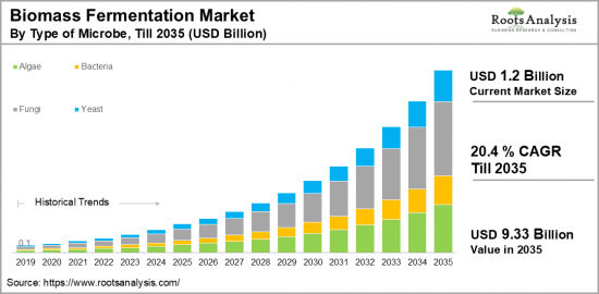 Biomass Fermentation Market-IMG1