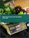 Global Commercial Food Scales Market 2024-2028