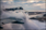 Smart Anti-Icing Coatings Markets