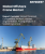 海上起重機市場規模、佔有率和成長分析（按類型、設計類型、起重能力、工作週期、最終用途產業和地區）- 2025-2032 年產業預測