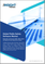 Public Safety Software Market Size and Forecast 2021 - 2031, Global and Regional Share, Trend, and Growth Opportunity Analysis Report Coverage: By Deployment Type, Solution Type, End User, and Geography