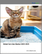 Global Cat Litter Market 2025-2029