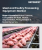肉類和家禽加工設備市場規模、佔有率和成長分析（按類型、肉類類型、產品類型和地區）- 產業預測 2025-2032