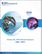 Global SSL VPN Market Size, Share & Trends Analysis Report By Component (Software, and Service), By Remote Access Modes (Tunnel, Clientless, and Thin-client), By Enterprise Size, By Regional Outlook and Forecast, 2024 - 2031