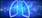 NPS+ (US) - Targeted Therapies in Severe Asthma (Biologics)