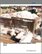 Global Construction Demolition Market 2025-2029
