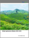 Global Agritourism Market 2025-2029
