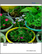 Global Flower Pots and Planters Market 2025-2029