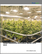 Global Greenhouse Horticulture Market 2025-2029