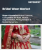 Bridal Wear Market Size, Share, and Growth Analysis, By Product Type (Bridal Accessories, Bridesmaid Dresses), By Price Range (Budget, Luxury), By Distribution Channel, By Age Group, By Dress Style, By Region - Industry Forecast 2025-2032
