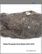 Global Phosphate Rock Market 2025-2029