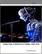 Global Voice AI Infrastructure Market 2025-2029