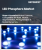LED Phosphors Market Size, Share, and Growth Analysis, By Type (Phosphate, Garnet), By Application (Automotive, Portable PCs), By Region - Industry Forecast 2025-2032