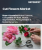 Cut Flowers Market Size, Share, and Growth Analysis, By Product (Rose, Chrysanthemum), By Application (Commercial, Home), By Distribution Channel, By Region - Industry Forecast 2025-2032