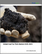 Global Coal Tar Pitch Market 2025-2029