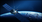 衛星製造·發射服務:趨勢與預測(2024年～2034年)
