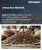 Arecanut Market Size, Share, and Growth Analysis, By Product Type (Raw Arecanut, Processed Arecanut), By End Use (Food Industry, Pharmaceuticals), By Distribution Channel, By Form Factor, By Region - Industry Forecast 2026-2033