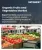 Organic Fruits and Vegetables Market Size, Share, and Growth Analysis, By Product Type, By Form, By Distribution Channel, By Farming Type, By Application, By End User, By Region - Industry Forecast 2026-2033
