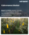 Kairomones Market Size, Share, and Growth Analysis, By Product Type (Plant-derived Kairomones, Insect-derived Kairomones), By Form, By Application, By Target Pest, By End-use Industry, By Distribution Channel, By Region - Industry Forecast 2026-2033