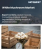 White Mushroom Market Size, Share, and Growth Analysis, By Product Type (Fresh White Mushrooms, Processed White Mushrooms), By Form, By Category, By Application, By Distribution Channel, By End Use, By Region - Industry Forecast 2026-2033