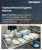Topical Wound Agents Market Size, Share, and Growth Analysis, By Product (Antiseptics, Antibiotics), By Form (Creams and Ointments, Gels), By End-User, By Region - Industry Forecast 2026-2033
