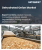 Dehydrated Onion Market Size, Share, and Growth Analysis, By Product Type (Flakes, Powder), By Drying Technology (Air-Drying, Freeze-Drying), By Nature, By Application, By Distribution Channel, By Region - Industry Forecast 2026-2033