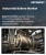 Industrial Boilers Market Size, Share, and Growth Analysis, By Boiler Type (Fire-Tube Boilers, Water-Tube Boilers), By Fuel Type, By Capacity, By Pressure, By Technology, By End-Use Industry, By Region - Industry Forecast 2026-2033
