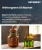 Wintergreen Oil Market Size, Share, and Growth Analysis, By Product Type, By Nature, By Application, By Distribution Channel, By End-use Industry, By Packaging Type, By Region - Industry Forecast 2026-2033